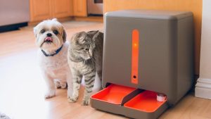 Pet Gadgets - Dtechunt