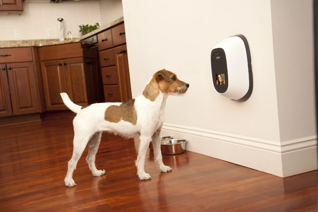 Pet gadgets - Dtechunt