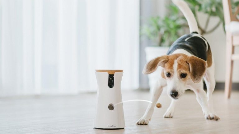 Pet gadgets